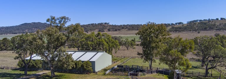 Rural / Farming commercial property for sale at LEVONDALE/439 Blackville Road Willow Tree NSW 2339