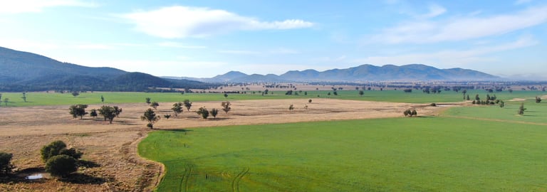 Rural / Farming commercial property for sale at Sylvania Aggregation Dripping Rock Road Gunnedah NSW 2380
