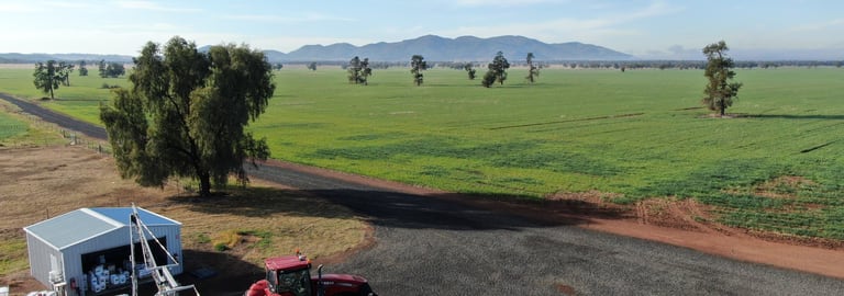 Rural / Farming commercial property for sale at Sylvania Aggregation Dripping Rock Road Gunnedah NSW 2380