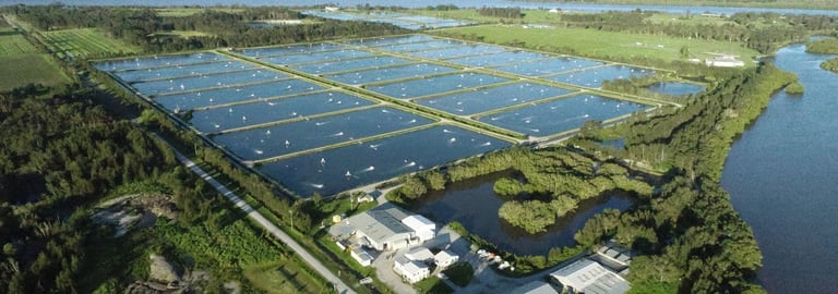 Rural / Farming commercial property for sale at Yamba Aquaculture Yamba NSW 2464