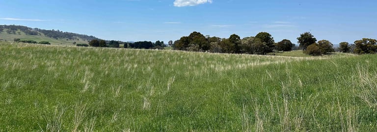 Rural / Farming commercial property for sale at 3350 Peak View Road Jerangle NSW 2630