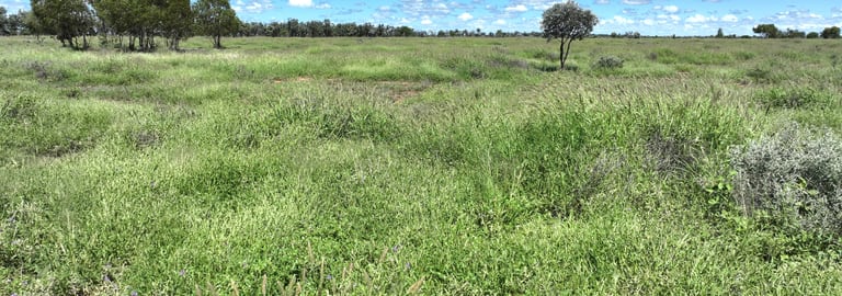 Rural / Farming commercial property for sale at 0 Boanbirra Aggregation Bollon QLD 4488