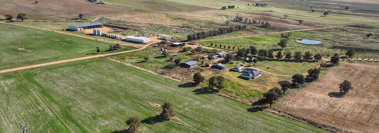 Rural / Farming commercial property for sale at Wattamondara NSW 2794