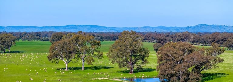 Rural / Farming commercial property for sale at Euroa VIC 3666