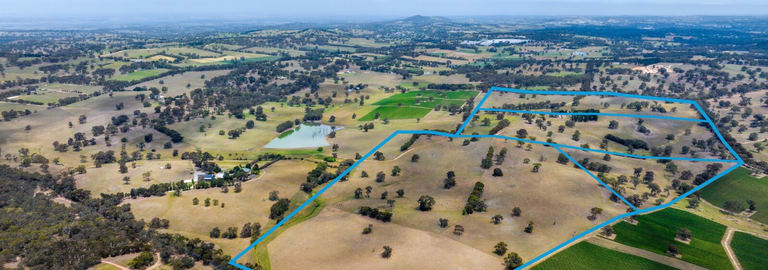 Rural / Farming commercial property for sale at 208 Monkhouse Road Oakbank SA 5243