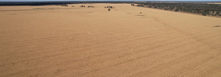 Rural / Farming commercial property for sale at 3282 Gungalman Road Carinda NSW 2831