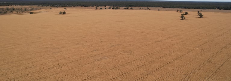 Rural / Farming commercial property for sale at 3282 Gungalman Road Carinda NSW 2831