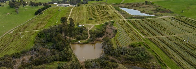 Rural / Farming commercial property for sale at 134 Taradale Road Courabyra NSW 2653