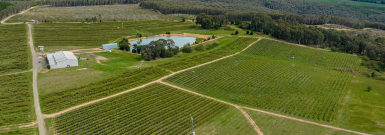 Rural / Farming commercial property for sale at 134 Taradale Road Courabyra NSW 2653