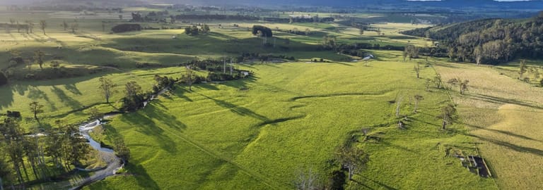 Rural / Farming commercial property for sale at 271 New River Road Ringarooma TAS 7263