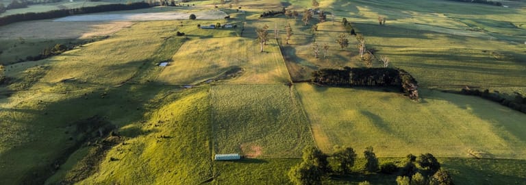 Rural / Farming commercial property for sale at 271 New River Road Ringarooma TAS 7263