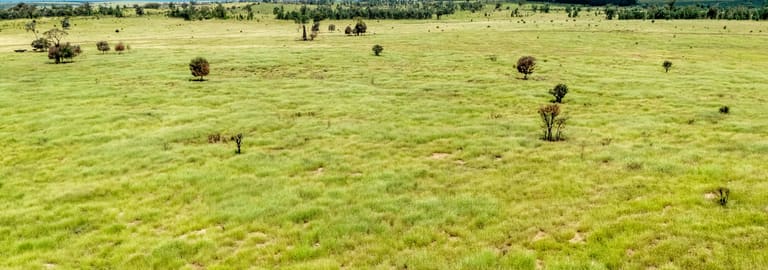 Rural / Farming commercial property for sale at 10077 Hoganthulla Road Mungallala QLD 4467