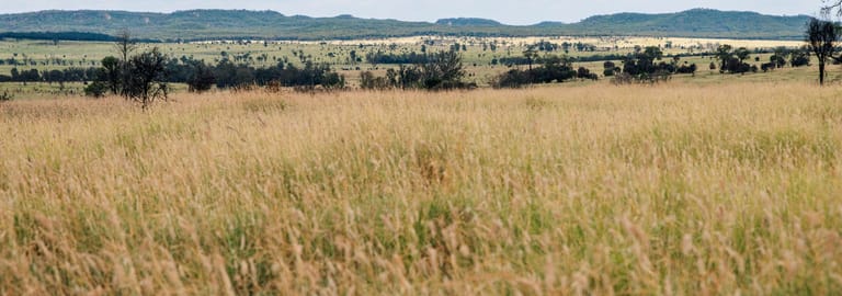 Rural / Farming commercial property for sale at 10077 Hoganthulla Road Mungallala QLD 4467
