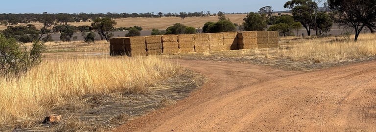 Rural / Farming commercial property for sale at 875 Youndegin Kelkering Road Youndegin WA 6407