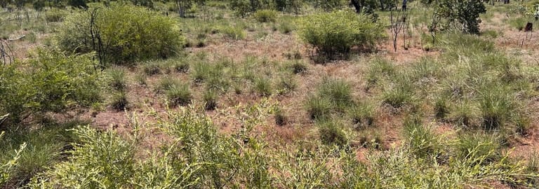 Rural / Farming commercial property for sale at Benmara Station Creswell NT 0852