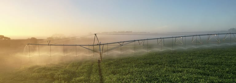 Rural / Farming commercial property for sale at 190 Treloars Road Condah VIC 3303