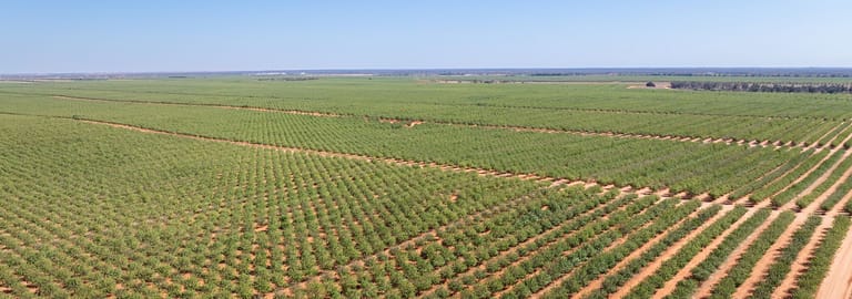 Rural / Farming commercial property for sale at 995 Millewa Road Koorlong VIC 3501
