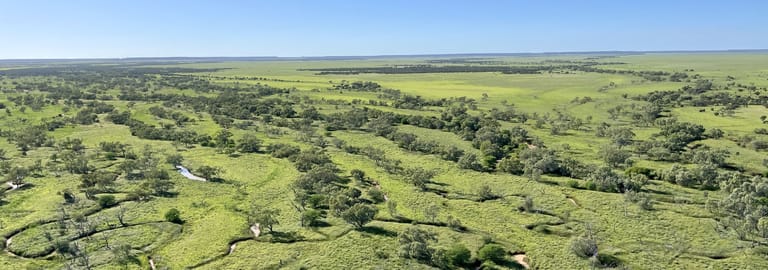 Rural / Farming commercial property for sale at 5480 Diamantina River Rd Opalton QLD 4735