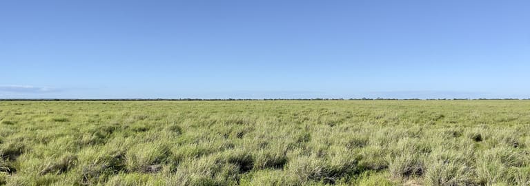 Rural / Farming commercial property for sale at 5480 Diamantina River Rd Opalton QLD 4735