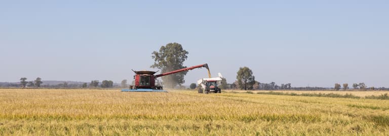 Rural / Farming commercial property for sale at Farm 360 Cain Road & Farm 362A Bilbul NSW 2680