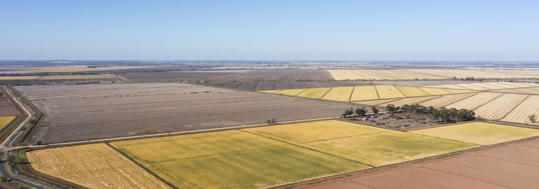 Rural / Farming commercial property for sale at Farm 360 Cain Road & Farm 362A Bilbul NSW 2680