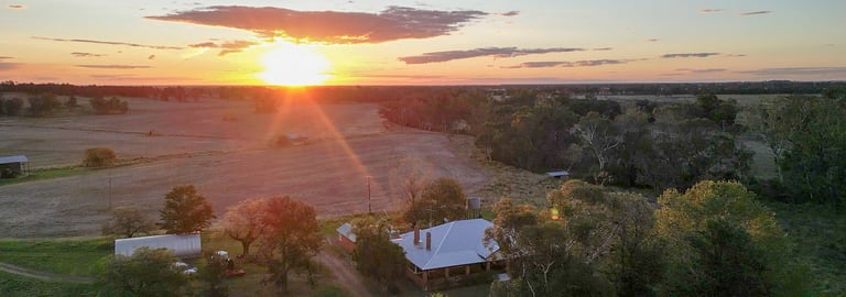 Rural / Farming commercial property for sale at 160 Gundong Road Tomingley NSW 2869