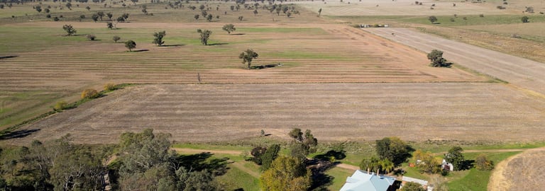 Rural / Farming commercial property for sale at 160 Gundong Road Tomingley NSW 2869