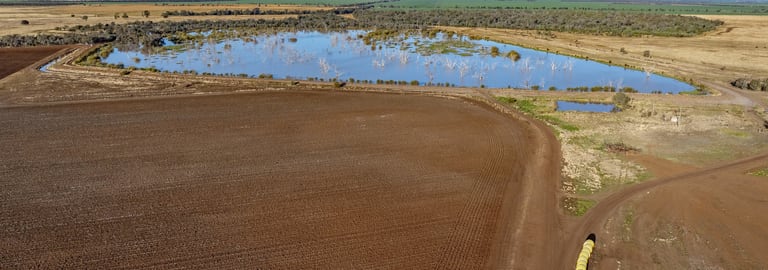Rural / Farming commercial property for sale at 6210 Carnarvon Highway Thallon QLD 4497