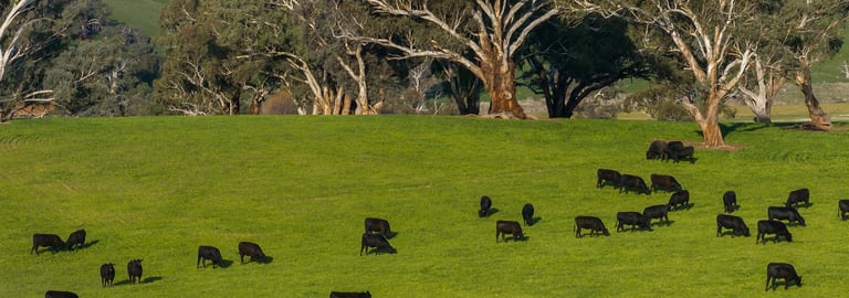 Rural / Farming commercial property for sale at Glenarvon, Burnt Yards Road Mandurama NSW 2792