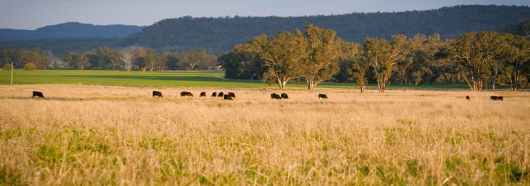 Rural / Farming commercial property for sale at 1799 Digilah Road Dunedoo NSW 2844