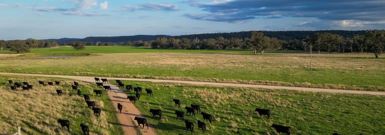Rural / Farming commercial property for sale at 1799 Digilah Road Dunedoo NSW 2844