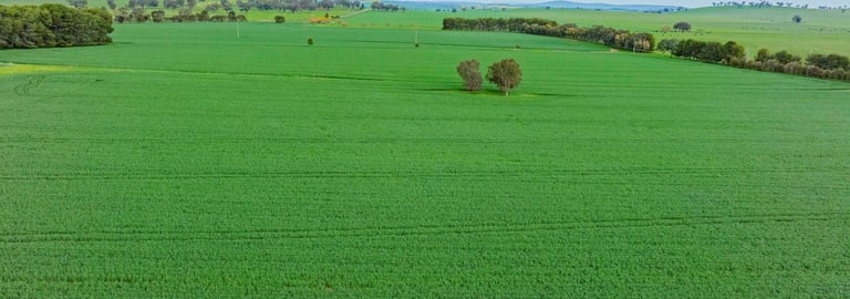 Rural / Farming commercial property for sale at 1329 Berthong Road Young NSW 2594