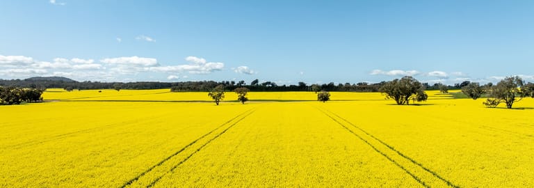 Rural / Farming commercial property for sale at 484 Merri Meric Road Henty NSW 2658