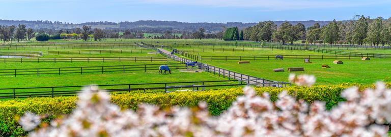 Other commercial property for sale at 366 Headlam Road Moss Vale NSW 2577
