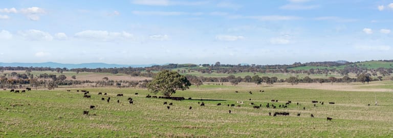 Rural / Farming commercial property for sale at 1830 Wargeila Road Yass NSW 2582