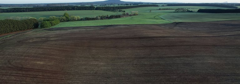 Rural / Farming commercial property for sale at Macarthur VIC 3286