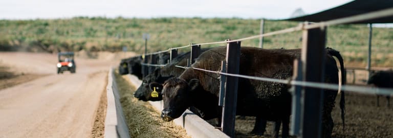 Rural / Farming commercial property for sale at Proston QLD 4613