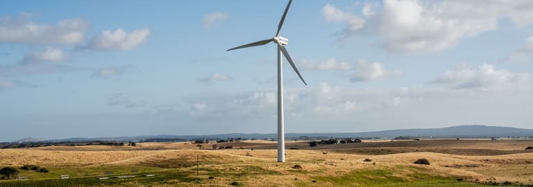 Rural / Farming commercial property for sale at 54 Lake Bonney Access Road Tantanoola SA 5280