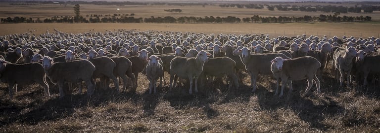 Rural / Farming commercial property for sale at 1154 Stockyard Hill Road Stockyard Hill VIC 3373 Rural / Farming commercial property for sale at 1154 Stockyard Hill Road Stockyard Hill VIC 3373