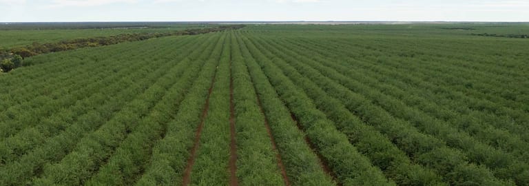 Rural / Farming commercial property for sale at Euston NSW 2737