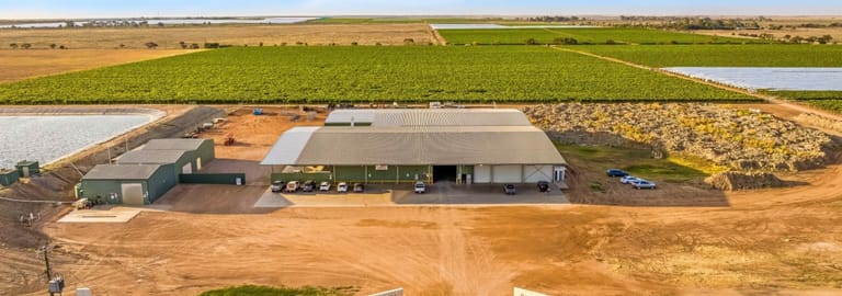 Rural / Farming commercial property for sale at 615 Fifth Street Merbein West VIC 3505
