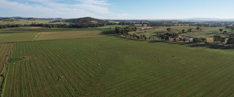 Rural / Farming commercial property for sale at 1022 Rivers Road Canowindra NSW 2804