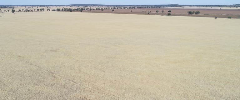 Rural / Farming commercial property for sale at 548 Cunningtons Lane West Wyalong NSW 2671 Rural / Farming commercial property for sale at 548 Cunningtons Lane West Wyalong NSW 2671