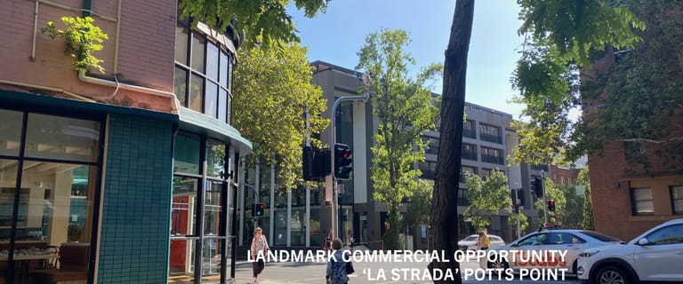 Hotel, Motel, Pub & Leisure commercial property for sale at 95 Macleay Street Potts Point NSW 2011