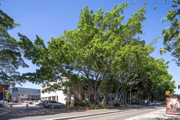 Click to view all images 154-160 Bourke Road Alexandria NSW 2015 - Image 2
