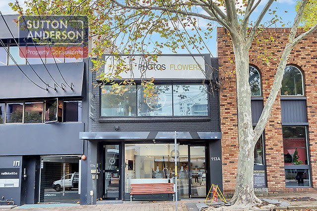 Click to view all images 113A Willoughby Road Crows Nest NSW 2065 - Image 2