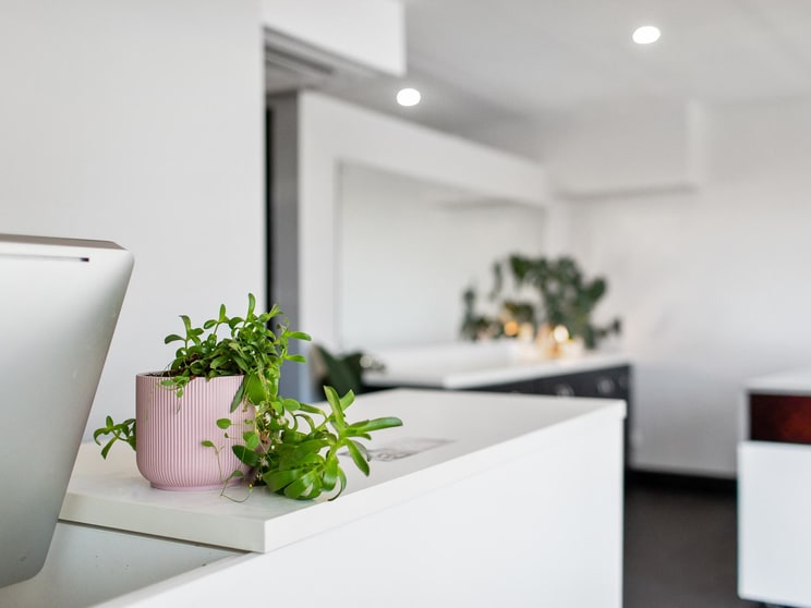 Click to view all images 8/595 Beaufort Street Mount Lawley WA 6050 - Image 3