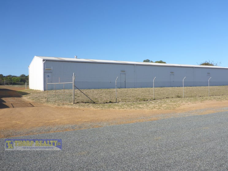 Click to view all images Shed 3 / Lot 2 Bandy Creek Road Bandy Creek WA 6450 - Image 1