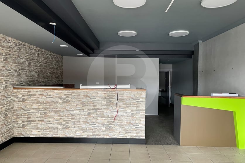 248 MERRYLANDS ROAD Merrylands NSW 2160 - Image 2