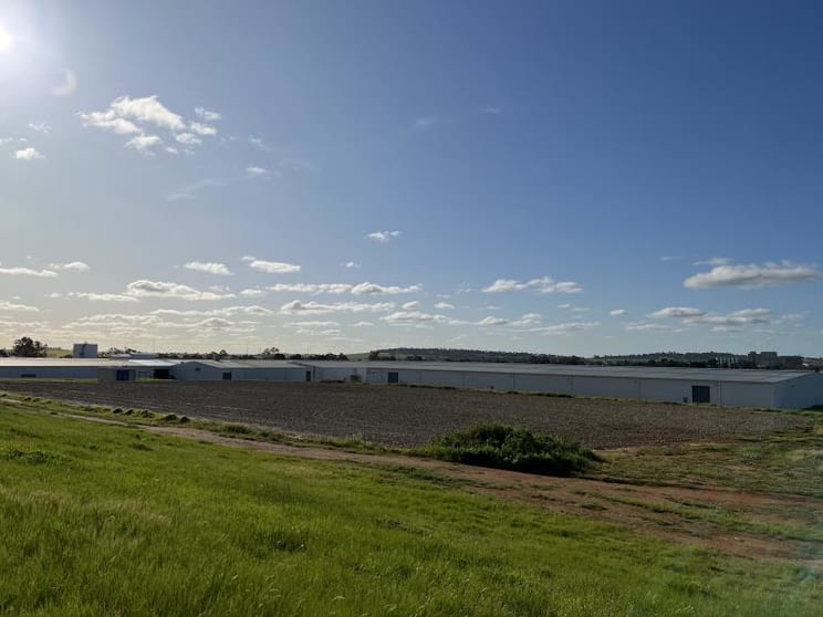 Click to view all images Hardstand/560 Byrnes Road Bomen NSW 2650 - Image 2